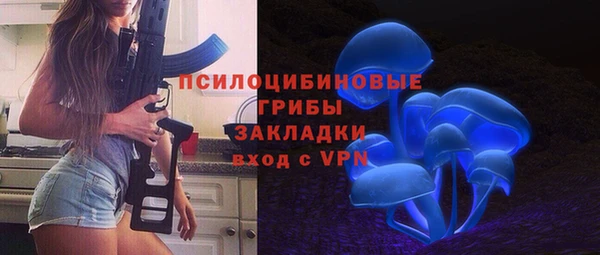 индика Аркадак