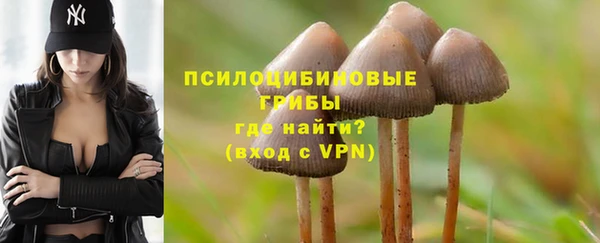 меф Армянск