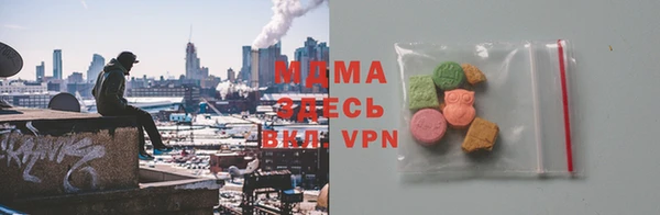индика Аркадак