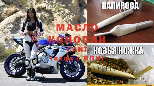 индика Аркадак