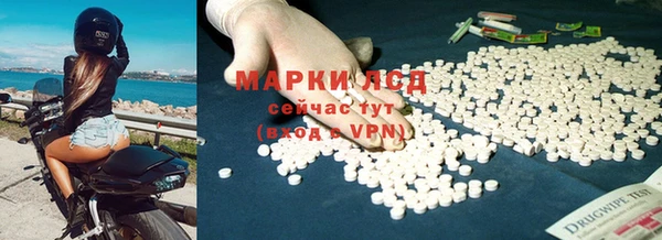 индика Аркадак