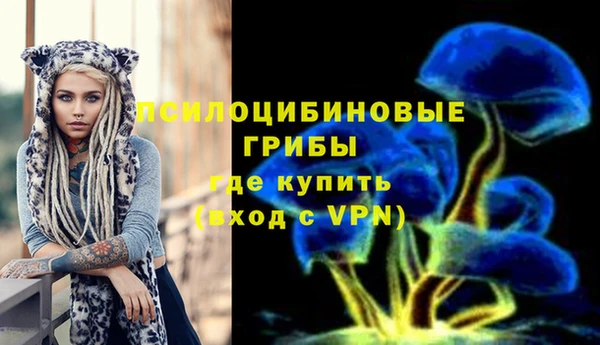 индика Аркадак