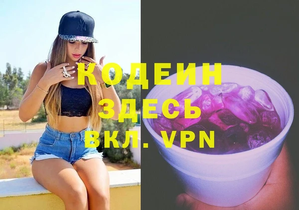 индика Аркадак