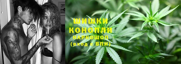 индика Аркадак